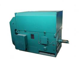 YKK、YXKK高壓三相異步電動(dòng)機(jī)高壓電機(jī)6KV 10KV高壓電機(jī)